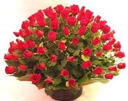 rosas rojas en cesta